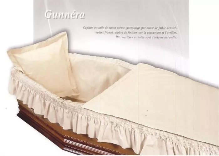 Gunnéra